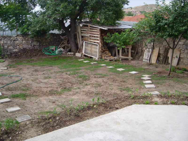 SS851069.jpg