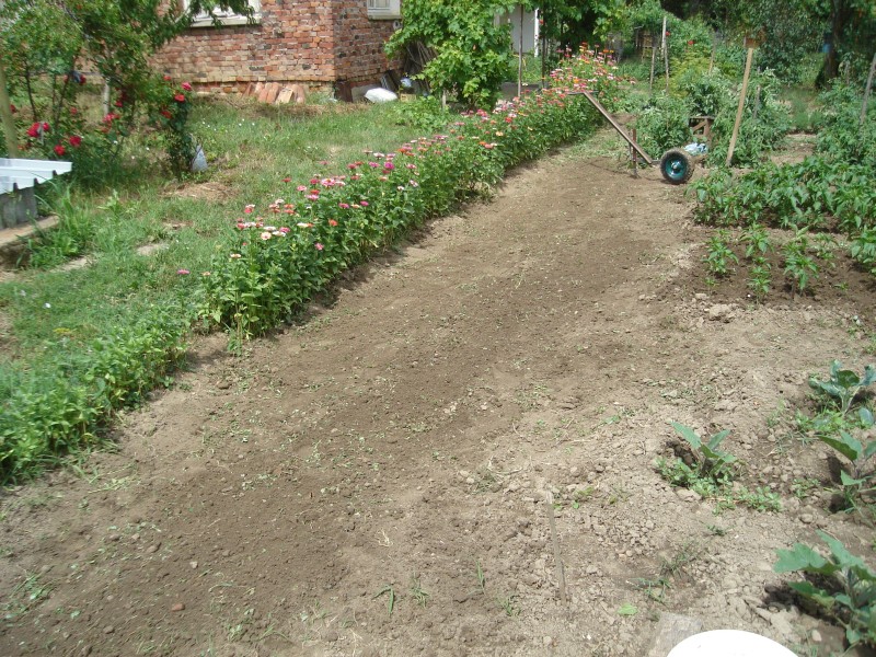 DSC08179.JPG