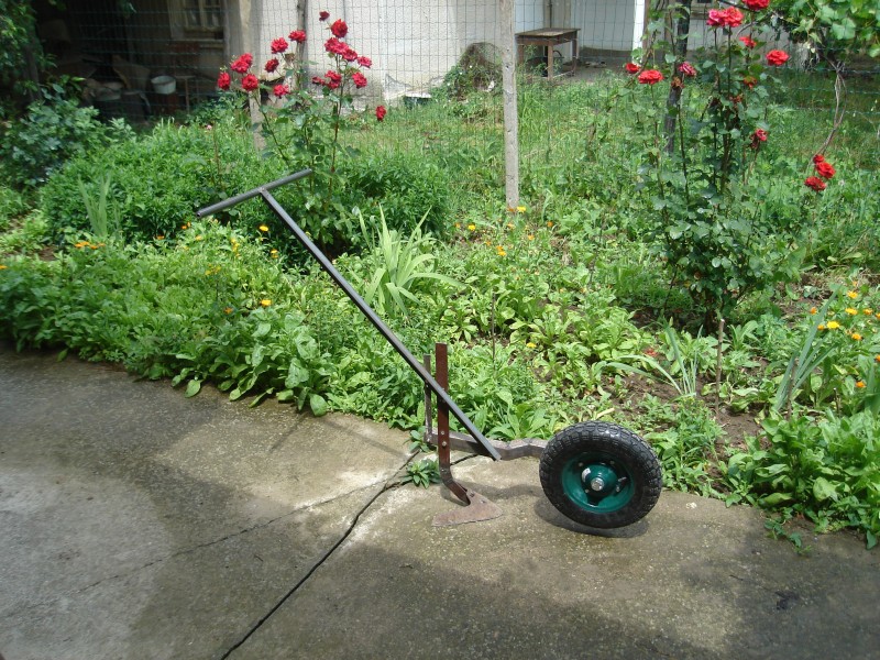 DSC08175.JPG