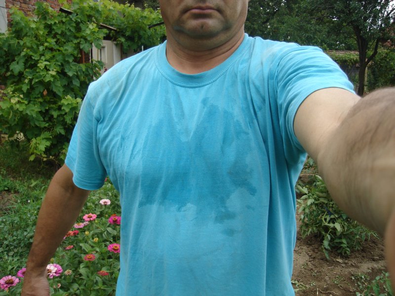 DSC08184.JPG