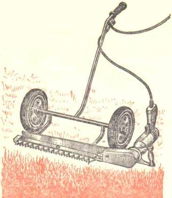 s_drel-1.jpg