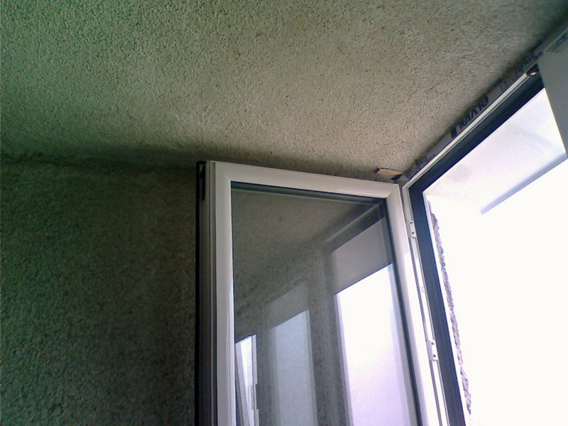 IMG0174A.jpg