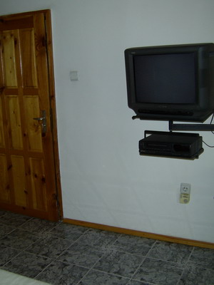 sp6.jpg