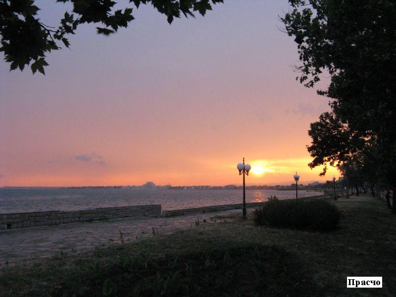 IMG_0095.jpg