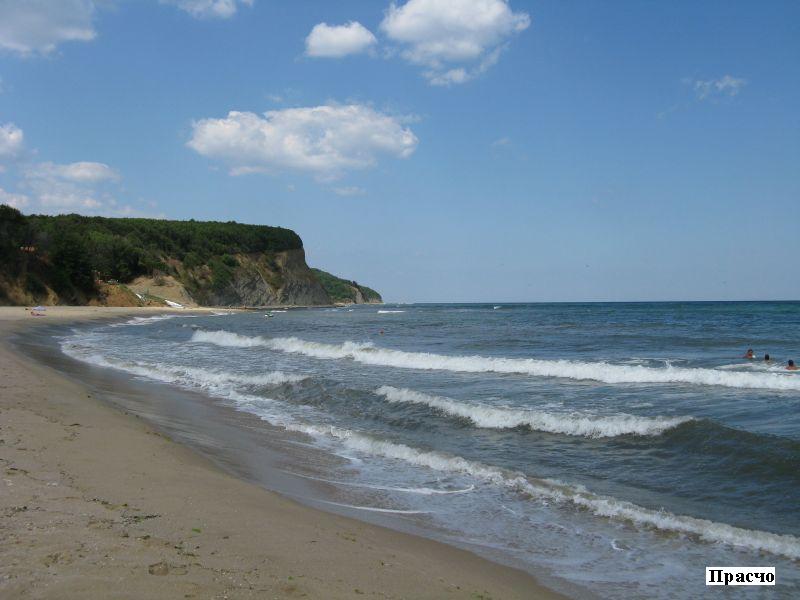 IMG_0006.jpg