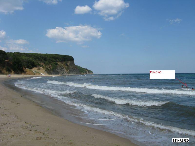 img_0006_128.jpg
