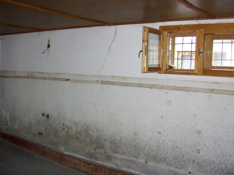DSCI2565.jpg