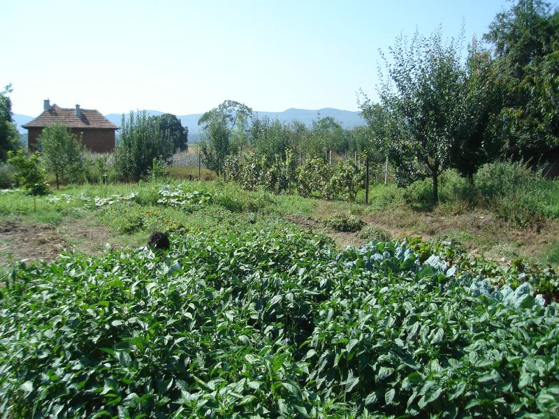 DSC08345.JPG