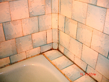 Picture 002.jpg