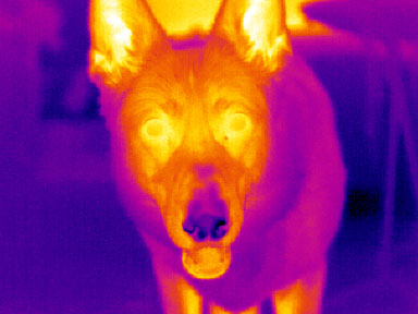 ir-sat001124.jpg