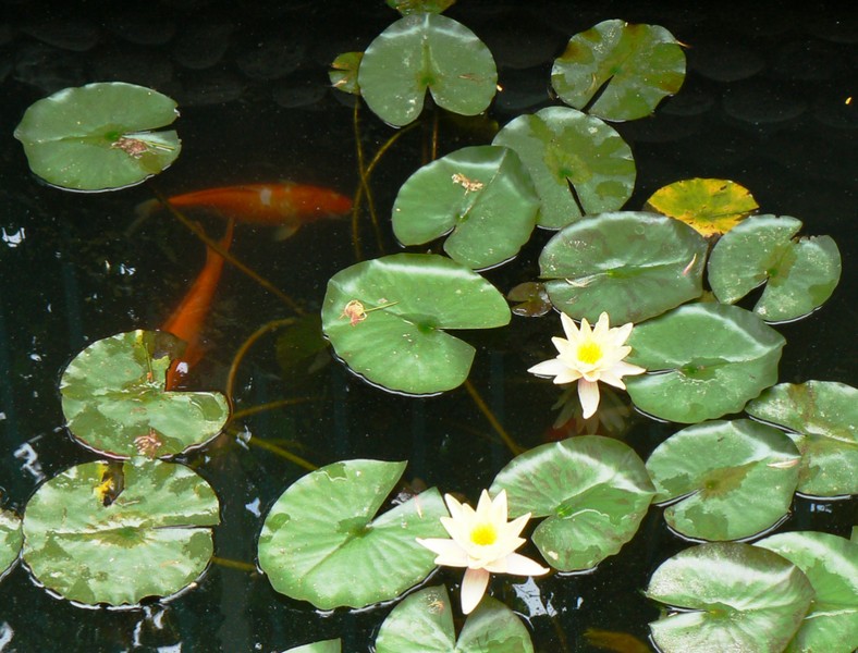 2009-08-01_215737.jpg