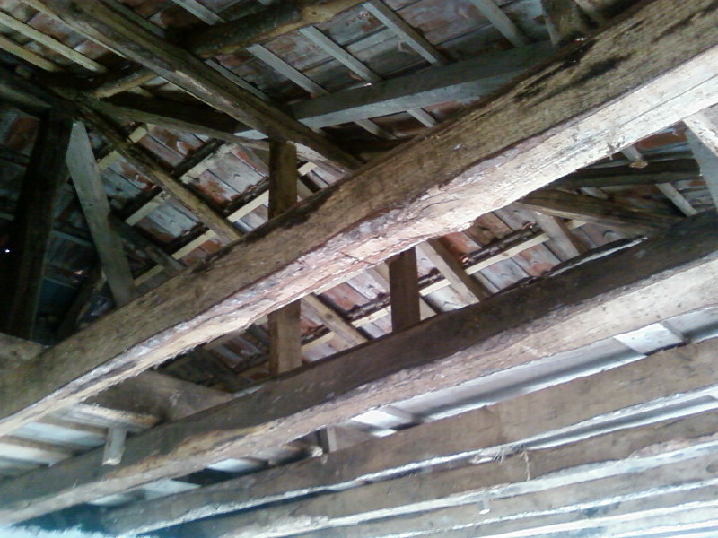 SP_A0228.jpg