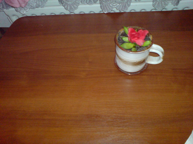 DSC01149.jpg