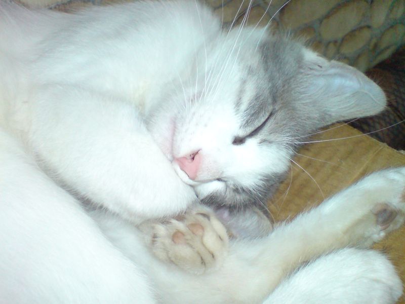 DSC00272.JPG
