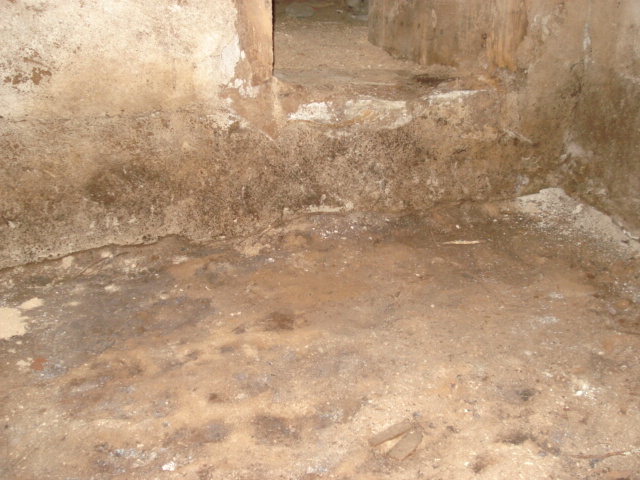 DSC03821.JPG
