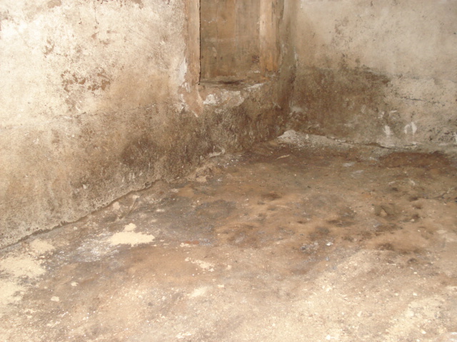 DSC03806.JPG