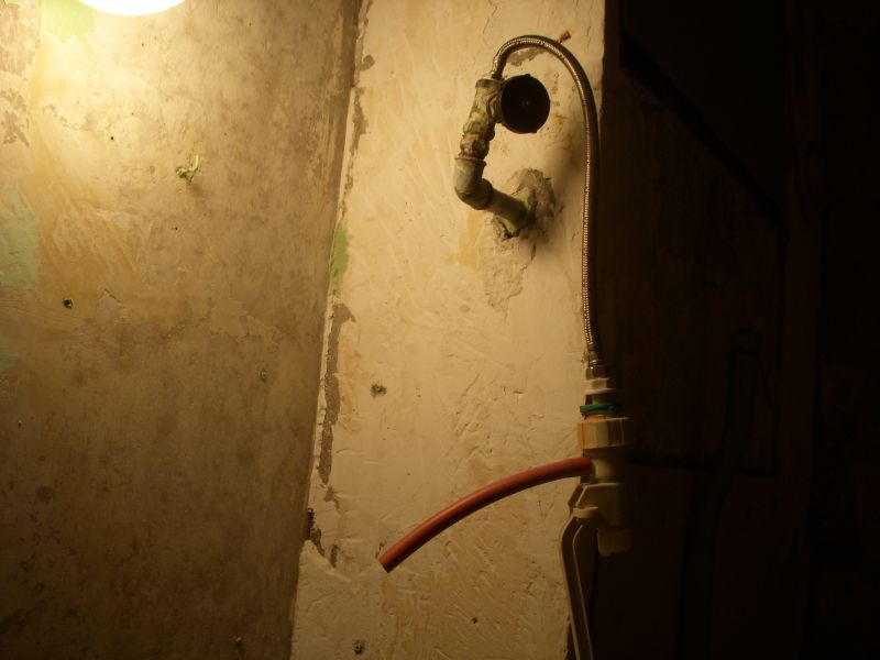 Picture 5.jpg