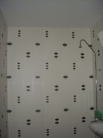 Picture 21.jpg