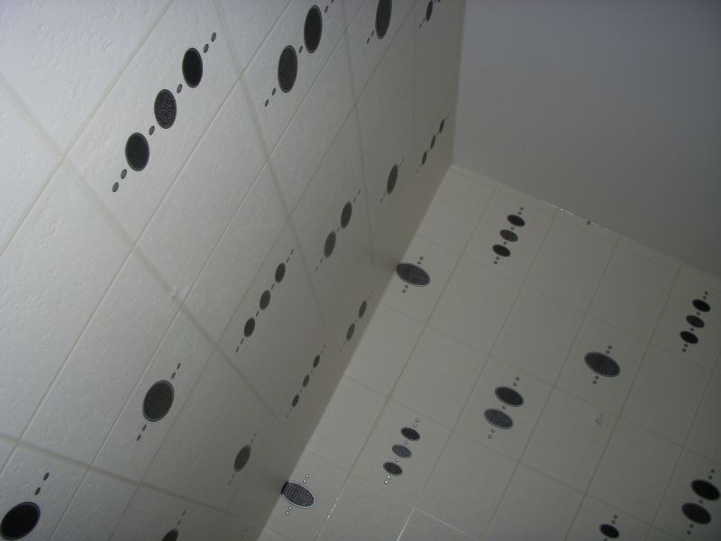 Picture 18.jpg
