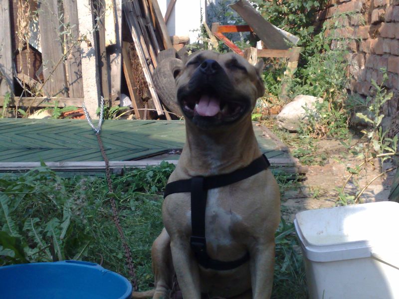 23082009984.jpg