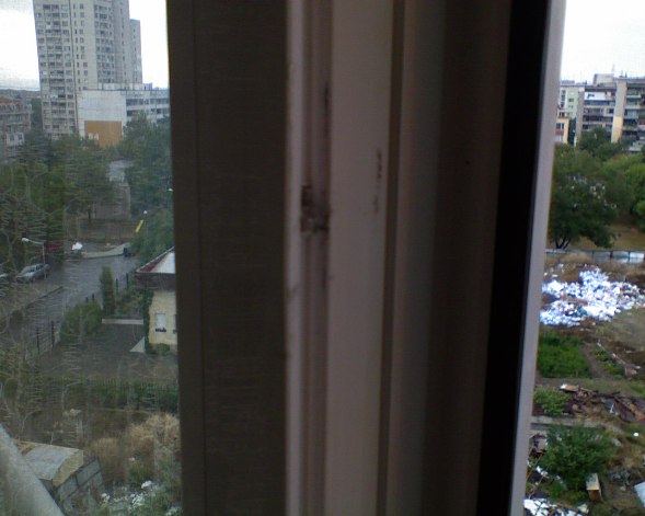 DSC00001.JPG