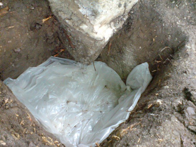 DSC01768.JPG