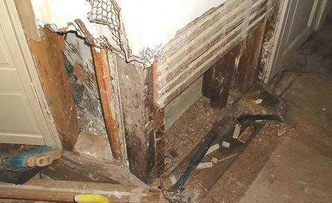 wall-termite-damage-basemen.jpg