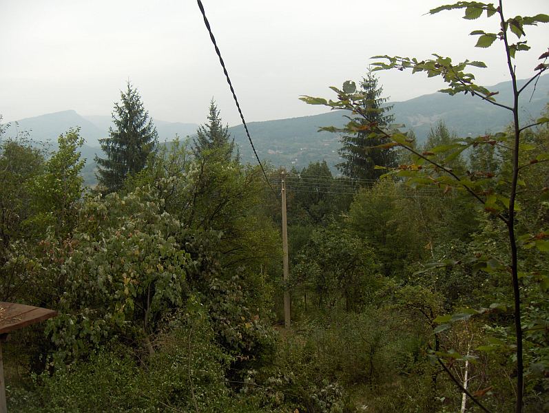 HPIM0035.jpg