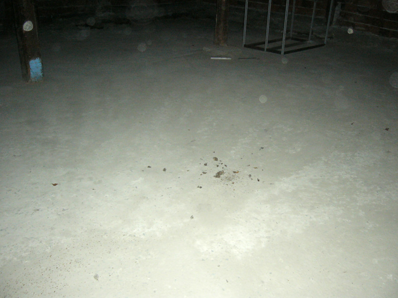 P1080430.JPG