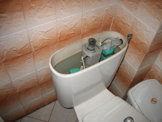 Picture 1.jpg