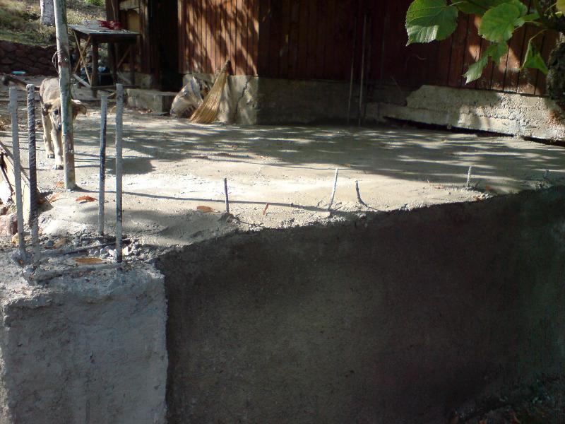 DSC01953.JPG