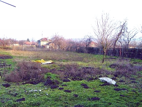 S7000312.jpg
