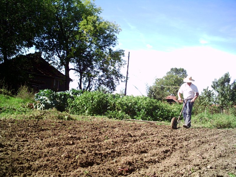 PICT003222.jpg
