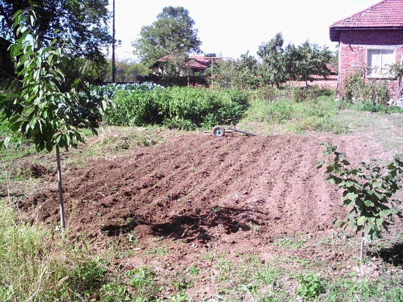 PICT0030.JPG