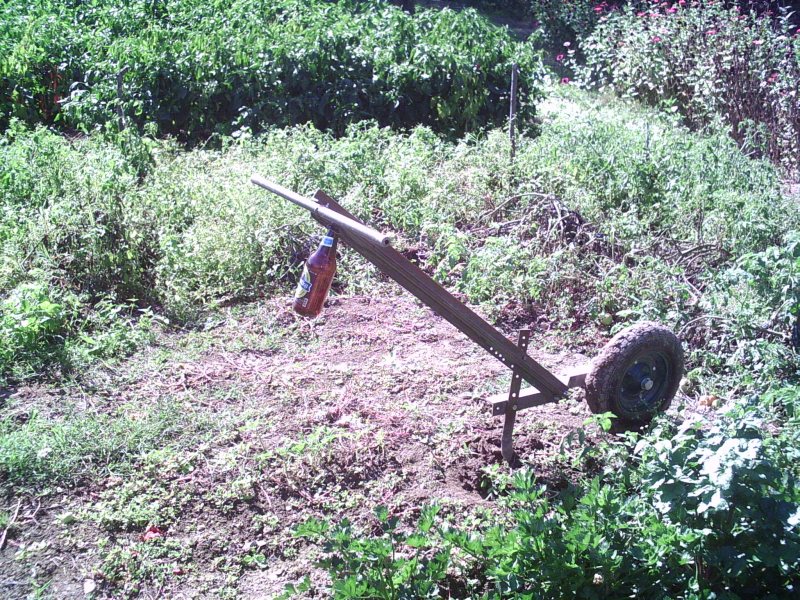 PICT0038.JPG