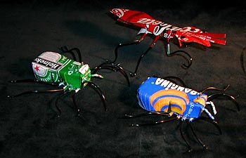 alumbug3.17k.jpg