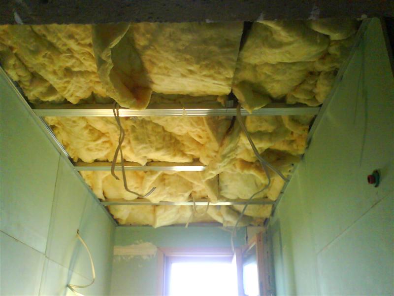 1b (Medium).JPG
