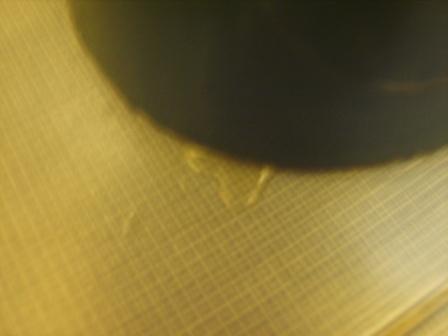 S8000971.JPG