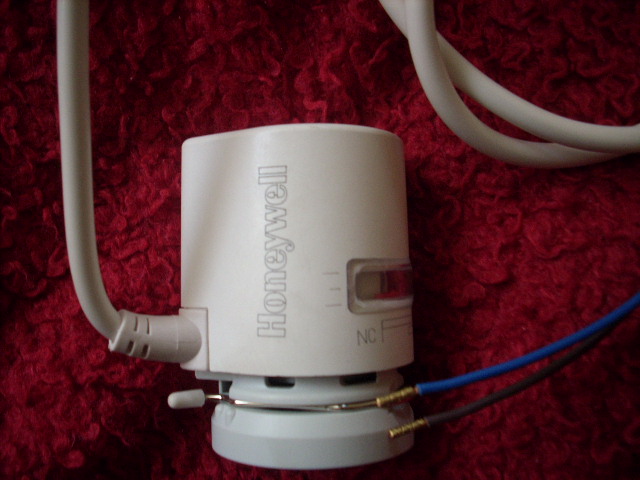 DSCN2491.JPG