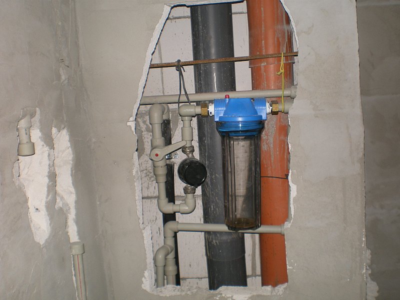IMGP4536.jpg