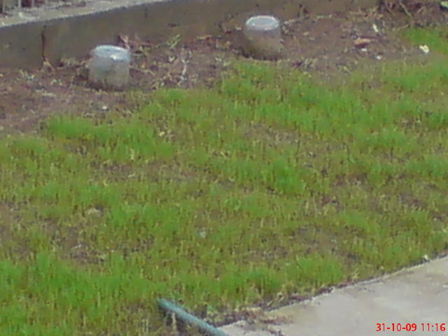 DSC01061.JPG
