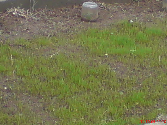 DSC01060.JPG