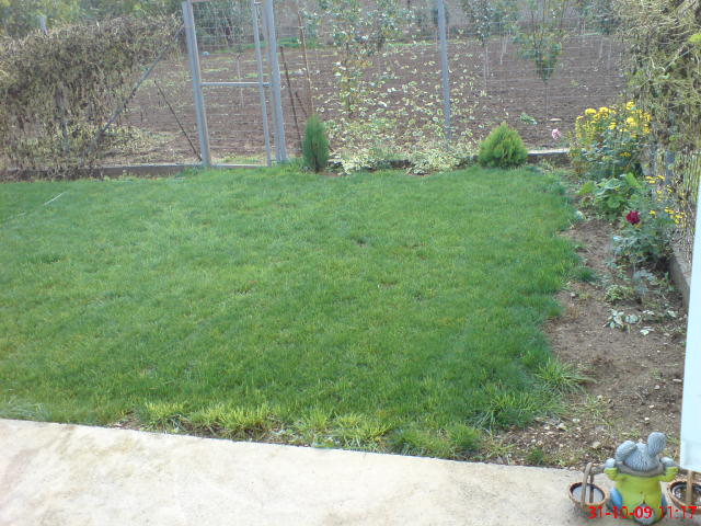 DSC01063.JPG