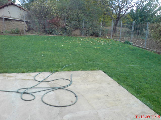 DSC01058.JPG