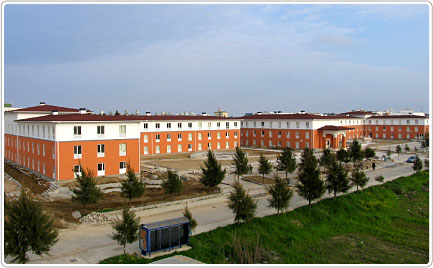 dau1.jpg