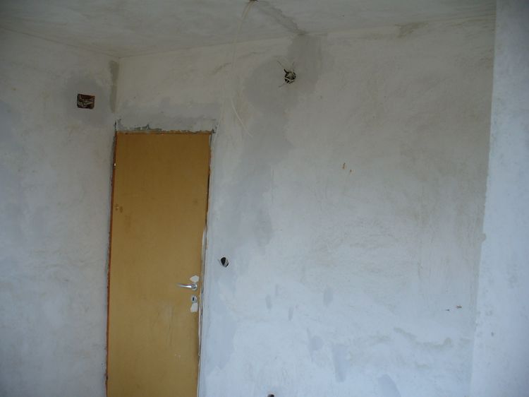 P1100092.JPG