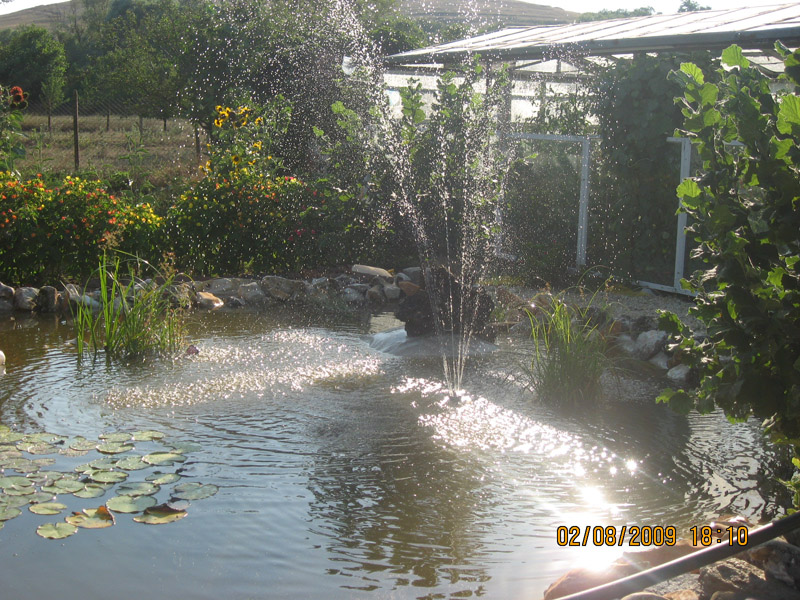 Picture 3431.jpg