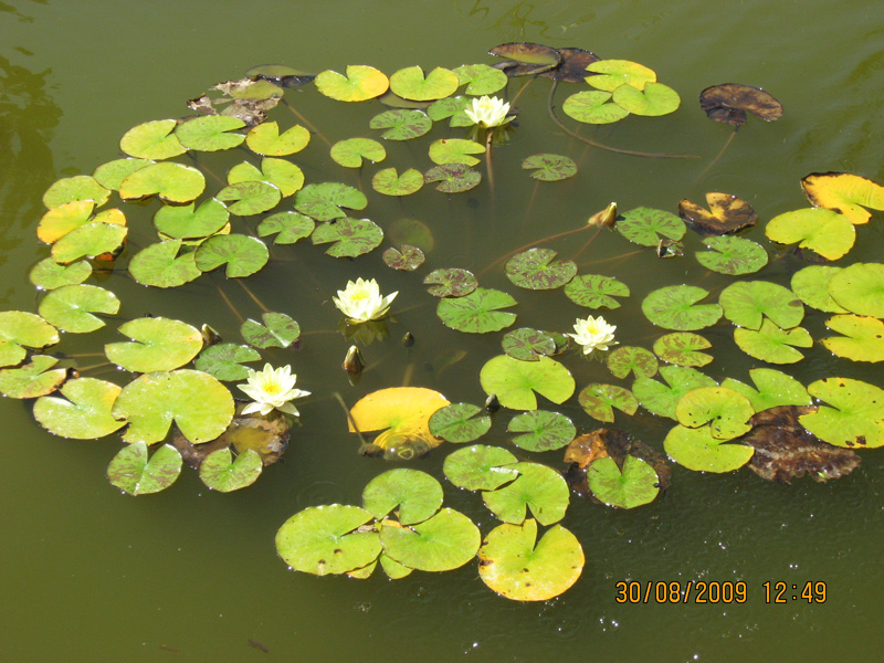 Picture 5171.jpg