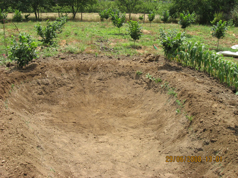 Copy (1) of Picture 0081.jpg