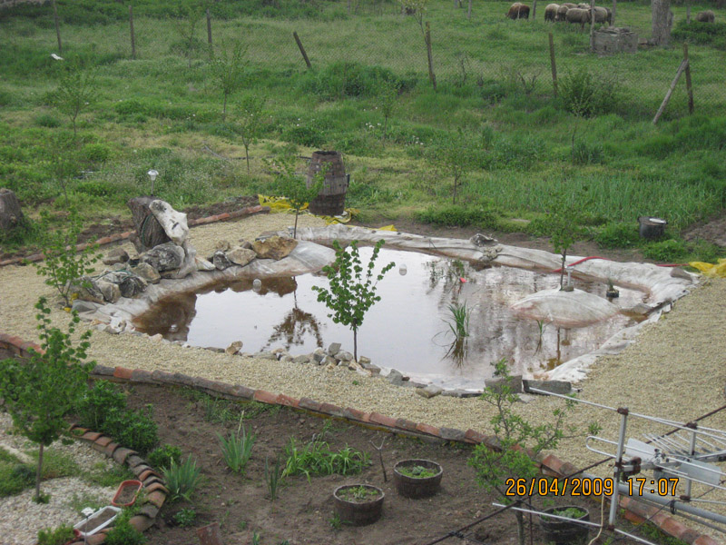 Picture 2321.jpg